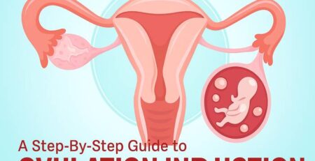 ovulation