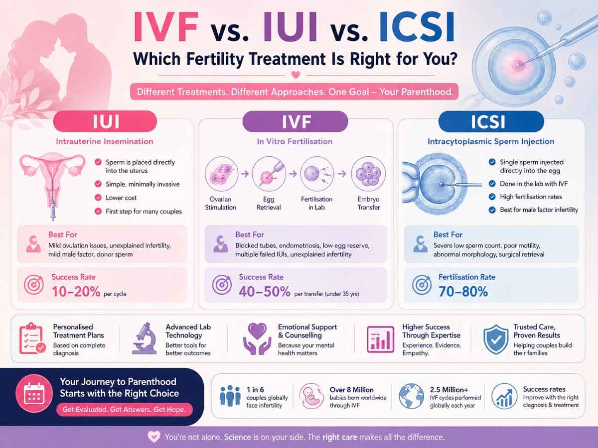 Best IVF Doctor In Noida