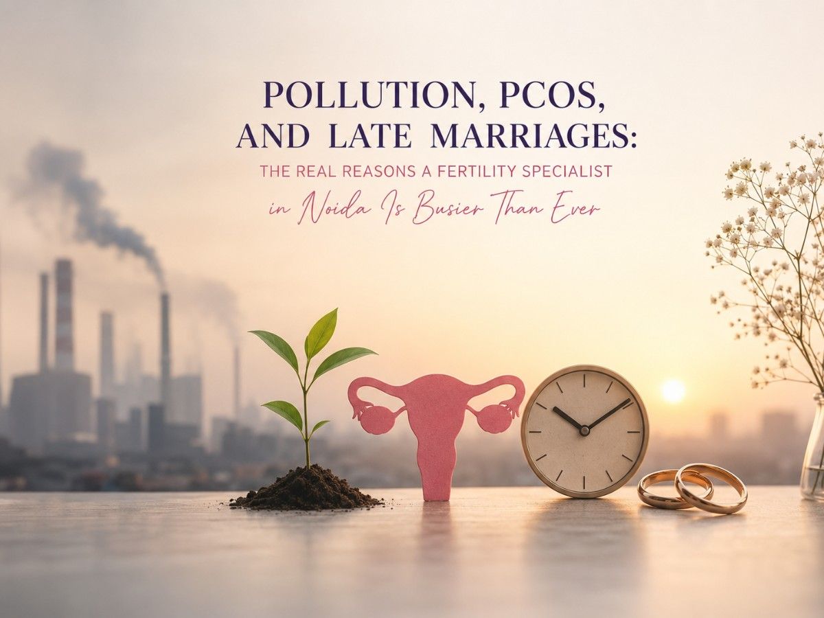 best ivf doctor in noida