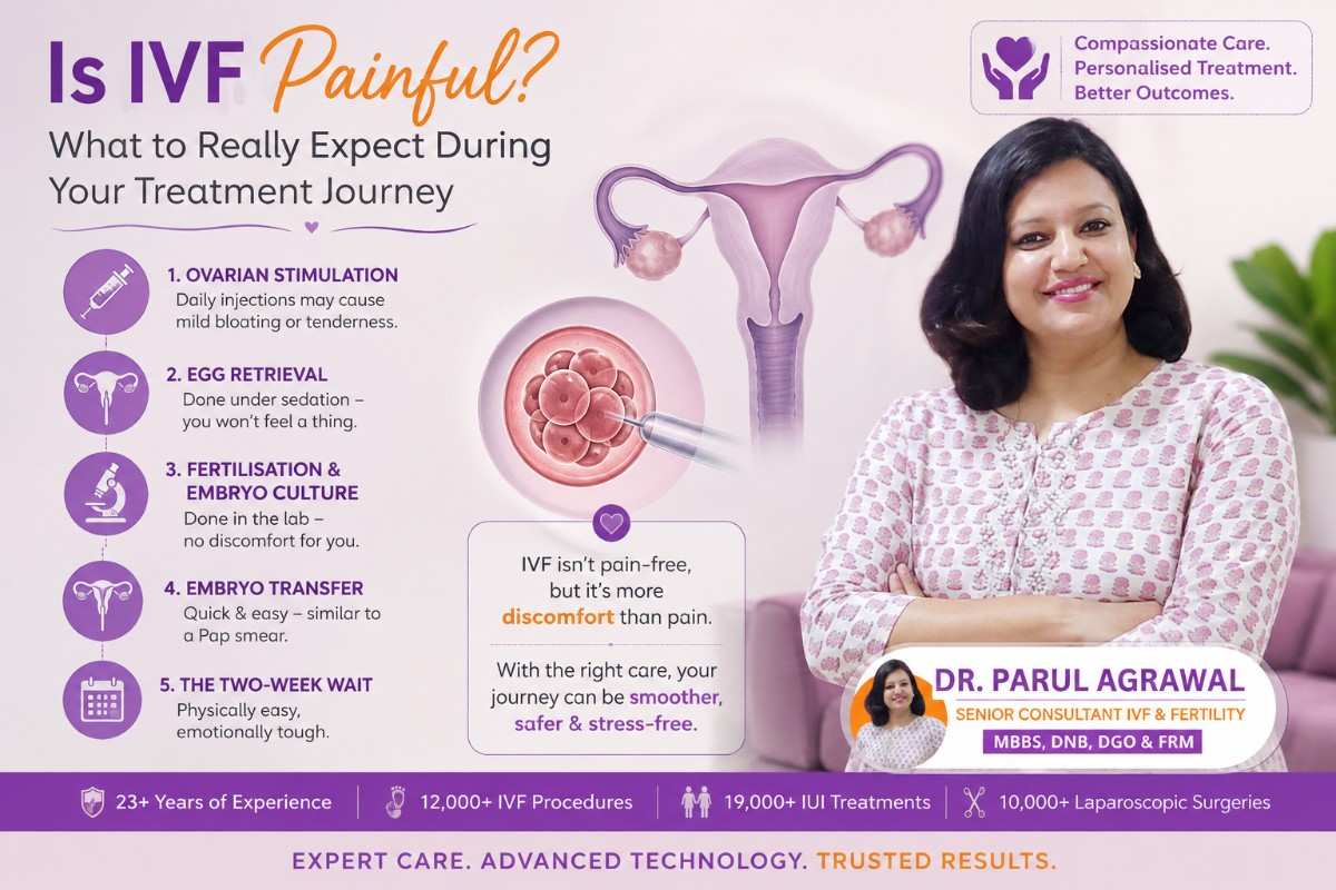 Best Ivf Doctor in Noida
