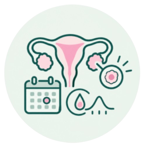 IVF Doctor & Fertility Specialist - Fertility Tracking and Ovulation Icon